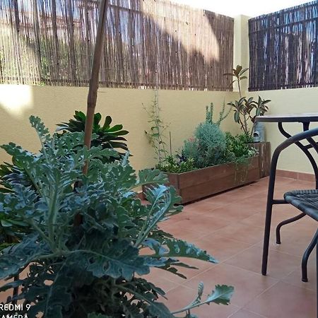Appartement Loft Alquiler Alcalalí Extérieur photo